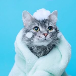 Cat Shampoo