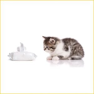 Cat Wipes & Deodorizers